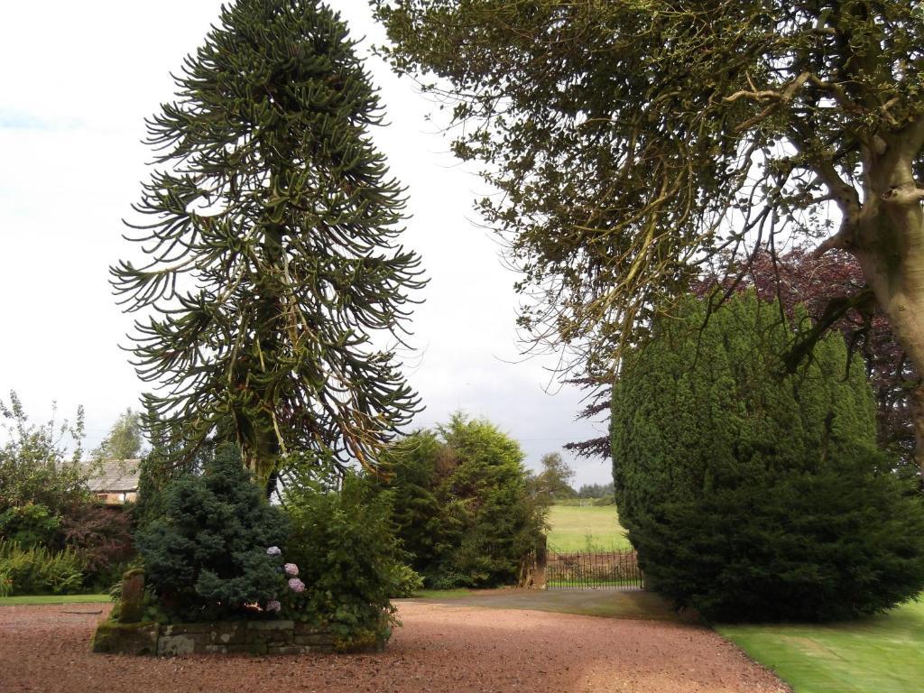 Bed and Breakfast Kirkpatrick House Gretna Green Exterior foto