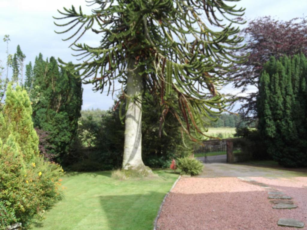 Bed and Breakfast Kirkpatrick House Gretna Green Exterior foto